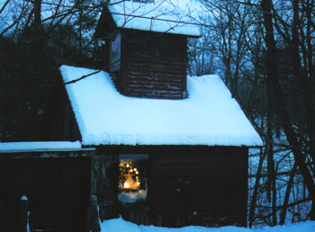 Sugar House Christmas Window